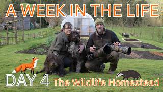 A WEEK IN THE LIFE- DAY 4. TREES, STEPS, TIMBER, HUT, GRAFT, ETC ETC.....