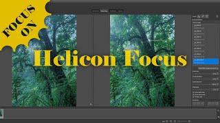 Helicon Focus Stacking Workflow with Exposure Blending - Focus On Series