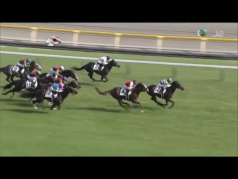 2017年東京優駿日本打吡 (日本ダービー) Japanese Derby