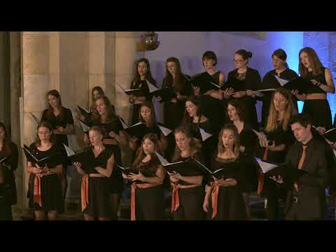 Es führt über den Main (Volksweise, Satz: Stefan Claas) – Landesjugendchor Kärnten/Koroška