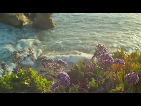 Unis Abdullaev - Flowers bloom in your soul (Guitar version)