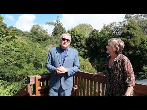 28 Fairmount Road, Titirangi