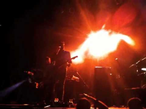 Danger Bear - Kashmir
