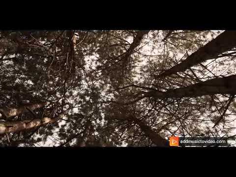 savek жди меня там remix 2021 😎😎😎