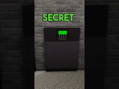 MOST SECRET SAFE in BROOKHAVEN!