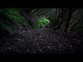 Emptiness Piano Nature Whatsapp Status