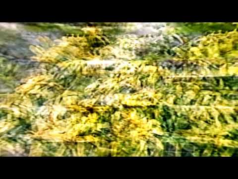 Video thumbnail for DNA