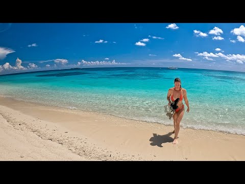 Florida’s Best Beach - Spearfishing | Shell Hunting | Sushi Night