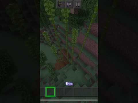 Electro in Minecraft! Unbelievable tiny jungle discovery!