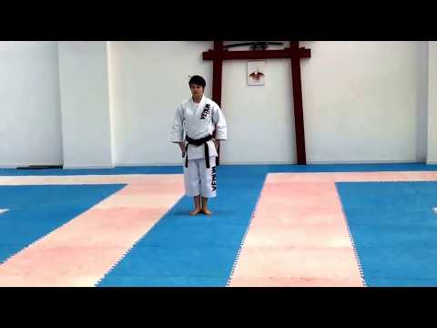 Sandy Scordo performing Enpi at Kaizen dojo, Dublin in 2017