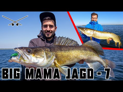 NICHT Nachmachen ⚠️ Fetter Hecht mit der HAND gefangen 😱 //  Big Mama Jagd - Vol. 7