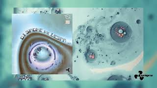 Dj Spoke Vs Vespa 63 - Function V - Original Mix [Official Video]