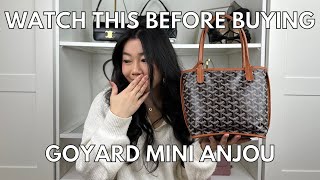 EVERYTHING YOU NEED TO KNOW BEFORE BUYING THE GOYARD MINI ANJOU (EU PRICING, WHAT FITS, PROS/CONS)