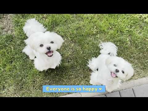 SOMEONE BROKE INTO OUR HOME