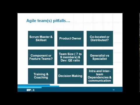 Explain the Organizational Structure of Agile and explain about the Component and Feature Teams