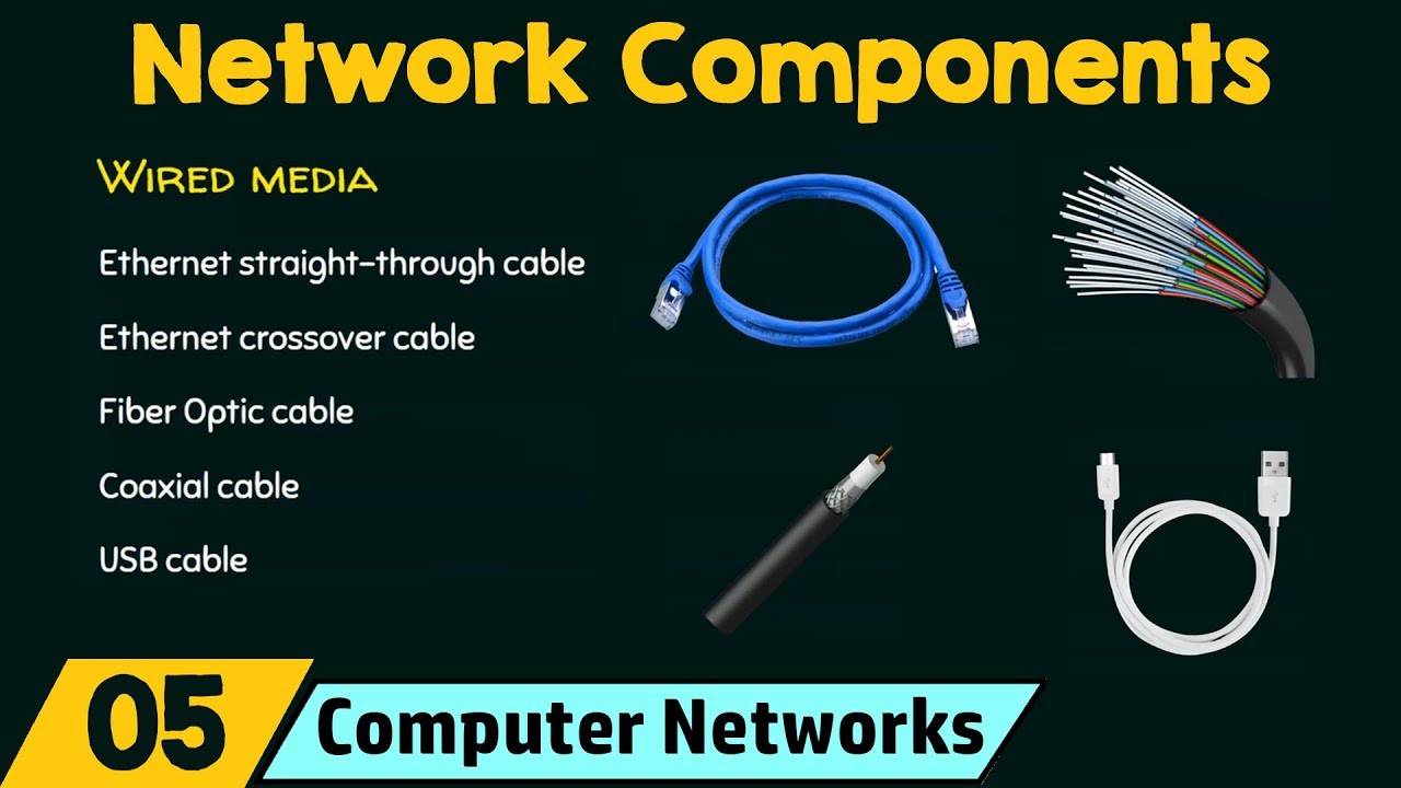 Components of a Computer Network