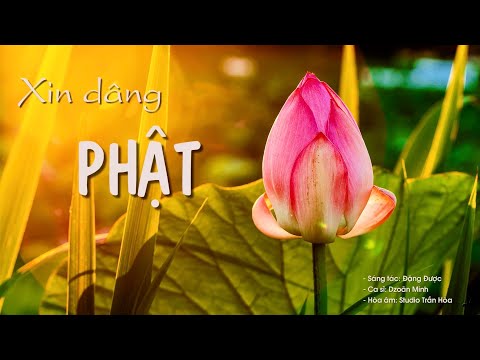 Xin dâng Phật - Dzoãn Minh