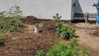 What an Apartment Landscape Has to Show You About Garden Design