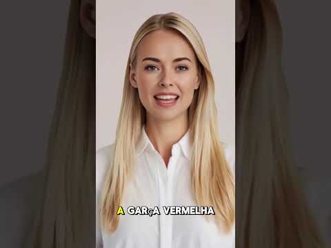 A história de Guaramirim/SC