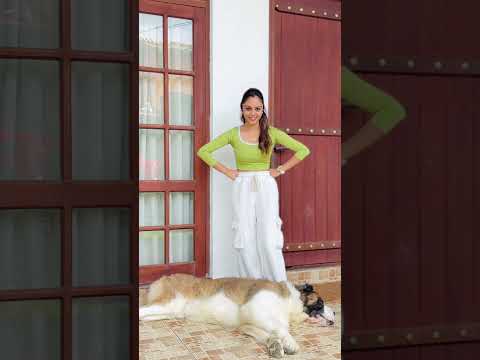 බඩී අහිංසකයි කියපු අයට පේනවනෙ කොල්ලගෙ වැඩ...😂😃