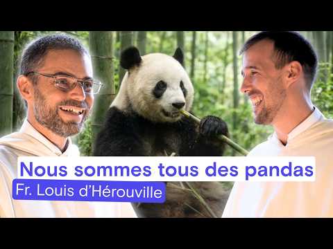 NOUS SOMMES TOUS DES PANDAS