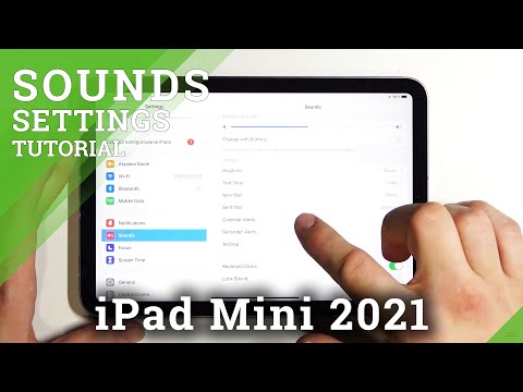 How to Change Notification Sound on iPad mini 2021 – Adjust Sound Settings