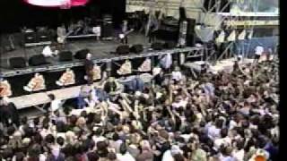 Verdena Valvonauta Live.