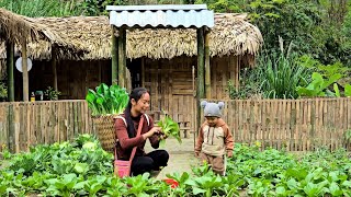 Download lagu Single mother Tiểu Ca earns money to buy wallpaper to repair her house as temperatures plummet. mp3