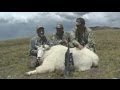 Mountain Goat Hunt in Utah - John Koster ...