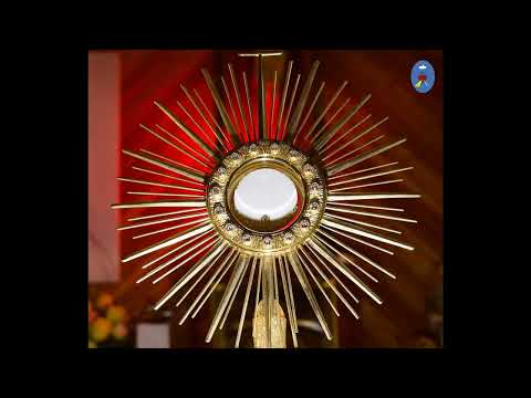 Czatachowa 11.11.2022 - Koronka do Bożego Miłosierdzia