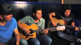 El Huizache Lyrics English Translation