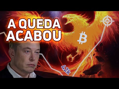 Udemy bitcoin trading