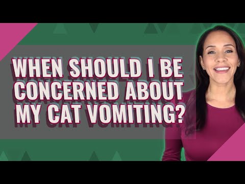 When should I be concerned about my cat vomiting?