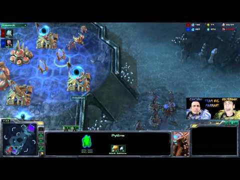 35-Les aiguillons campants