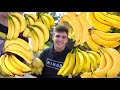 STEALING ALL THE BANANAS!!!