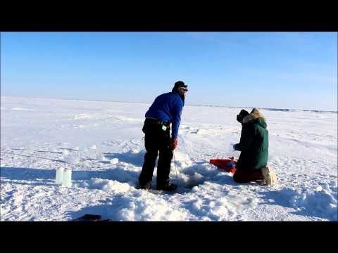 Ponar Grab Through Sea Ice