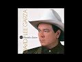 David Lee Garza - Tengo Ganas