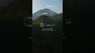 Download lagu Surat Adz-Dzariyat Ayat 15 - 19 - Syamil Al Fudhaily mp3