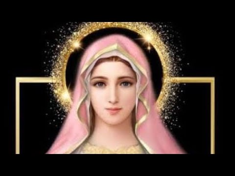 Farewell of 7th  students 2024-25