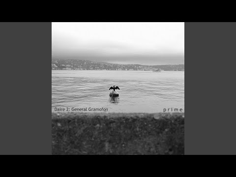 Video thumbnail for Sisten Gel