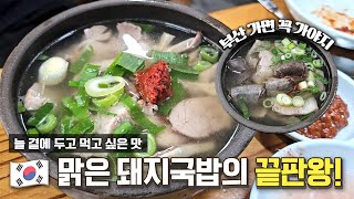 돼지국밥으로 미쉐린까지 간 비밀이야의 최애 돼지국밥[EN]ㅣ합천국밥집