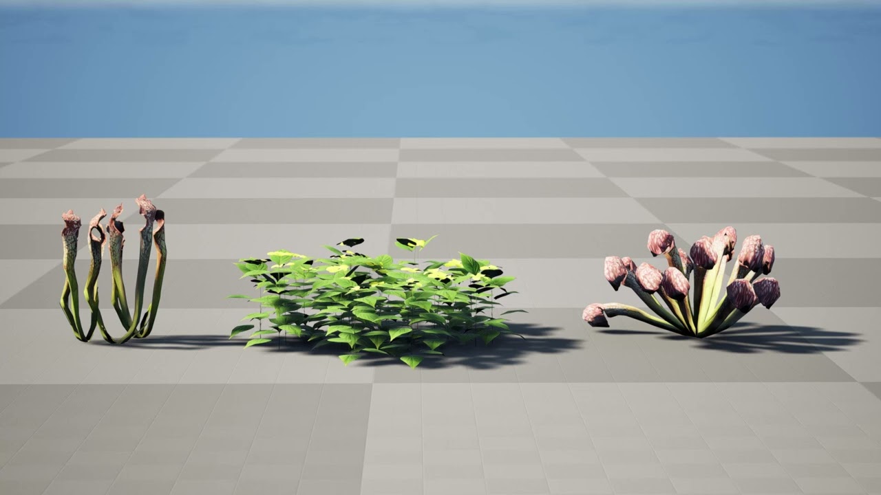 North American species set 3D Model