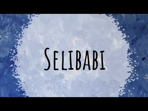 Selibabi - Israeli Dance Revolution
