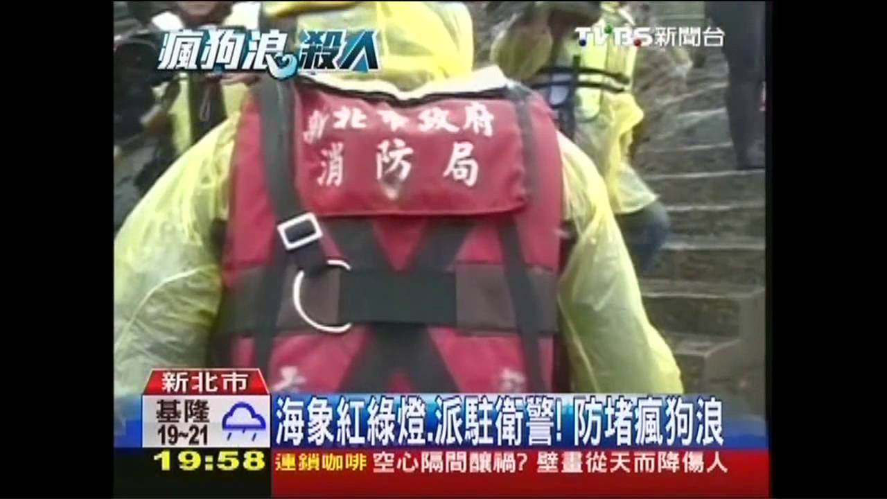 海象紅綠燈、派駐衛警！　防堵瘋狗浪