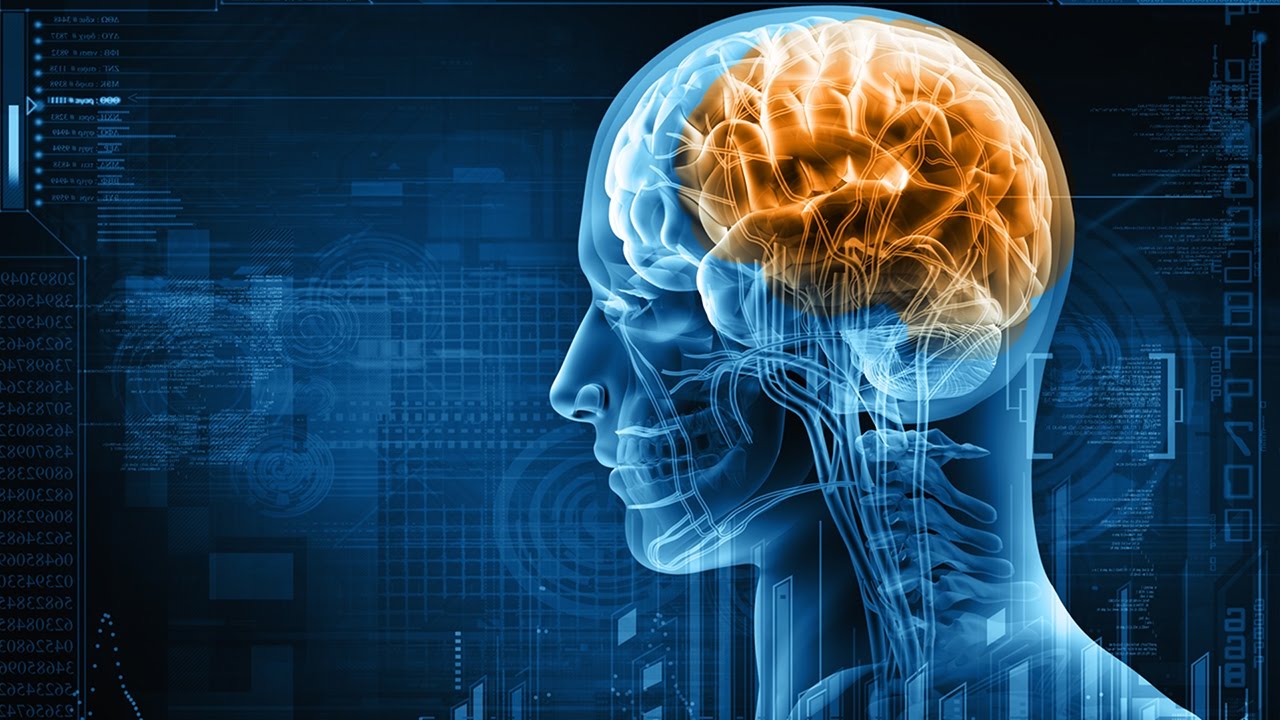 Digital Evolution: Is smart tech making us dumber?