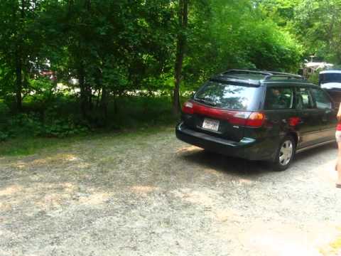 Our campsite: a good mix of shade and sun, with a decent amount of space and privacy
