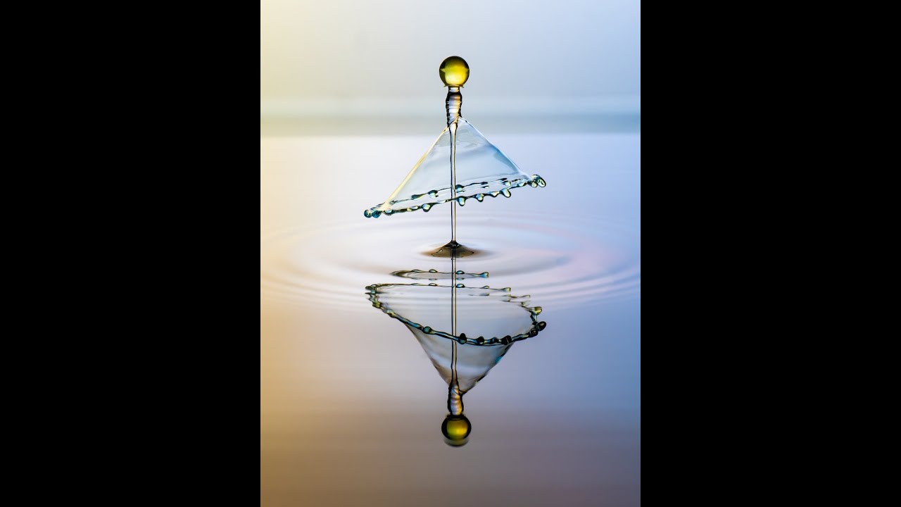 Bridging the Tech and Biz Communication Gap!