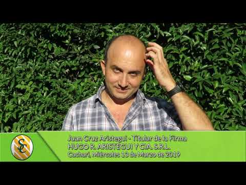 13-03-19 - Juan Cruz Aristegiui - Titular - Hugo R. Aristegui y Cía. - Cacharí