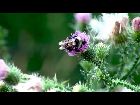 zero-project and Haris Aronis feat. Olga Balomenou - La luce che ti cambia