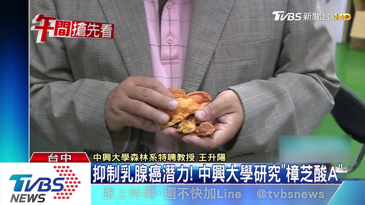 抑制乳腺癌潛力! 中興大學研究「樟芝酸A」
